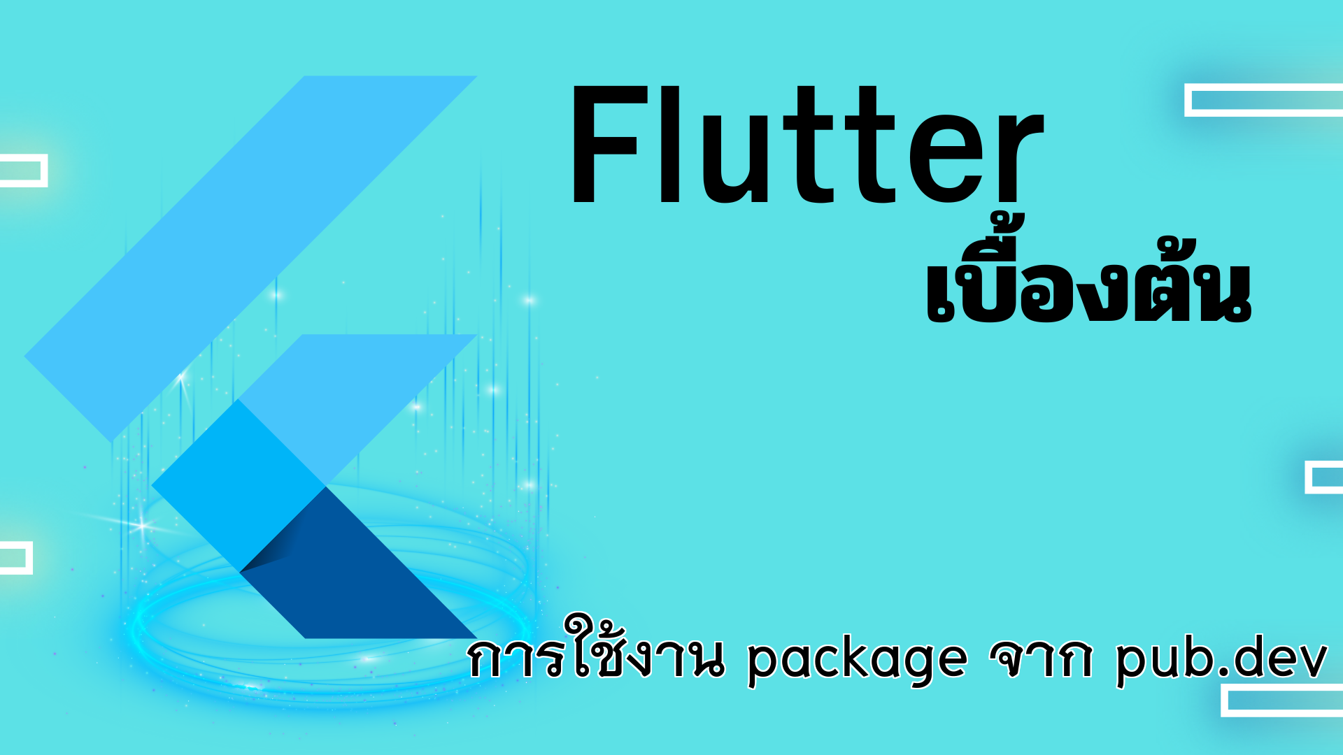 การใช้งาน Package จาก pub.dev